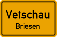 Briesener Straße in 03226 Vetschau (Briesen)