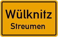 Dorfstraße in WülknitzStreumen