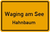 Hahnbaum in Waging am SeeHahnbaum