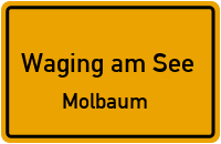 Molbaum in Waging am SeeMolbaum