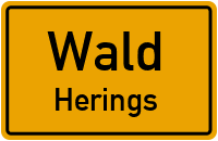 Herings in WaldHerings