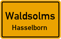 Fürst-Walrad-Straße in WaldsolmsHasselborn