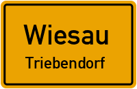 Straßen in Wiesau Triebendorf