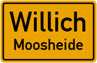 Moosheide in WillichMoosheide