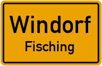 Fisching in WindorfFisching