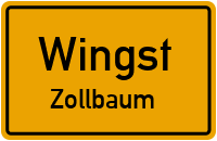 Kleverberg in WingstZollbaum