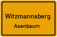 Asenbaum in WitzmannsbergAsenbaum