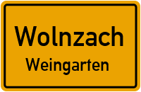 Weingarten in WolnzachWeingarten